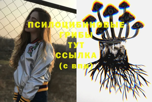 винт Аркадак