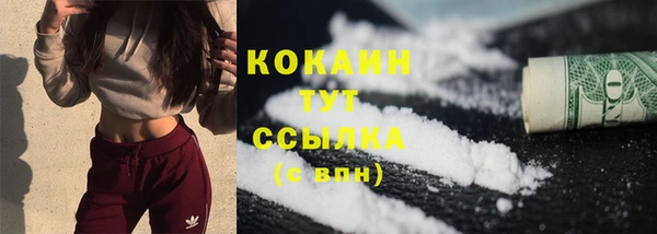 крисы Армянск
