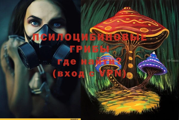 винт Аркадак