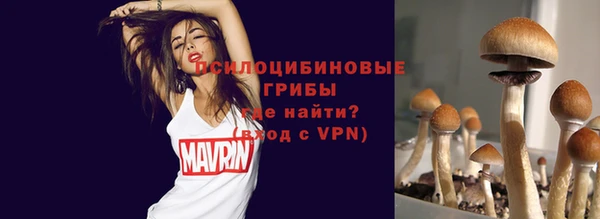 крисы Армянск