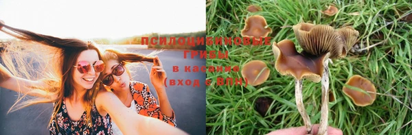 бошки Арсеньев