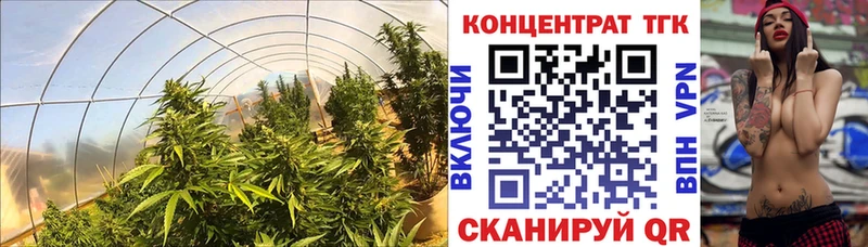 Купить  Нея  ТГК гашишное масло 
