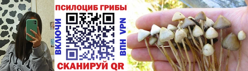 Купить  Нея  Галлюциногенные грибы ЛСД 